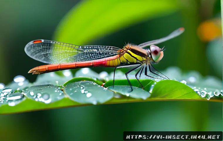 Home 17 곤충 촬영용 매크로 렌즈 추천 - Photorealistic macro photography scene in a lush tropical garden in Vietnam, a colorful dragonfly re...